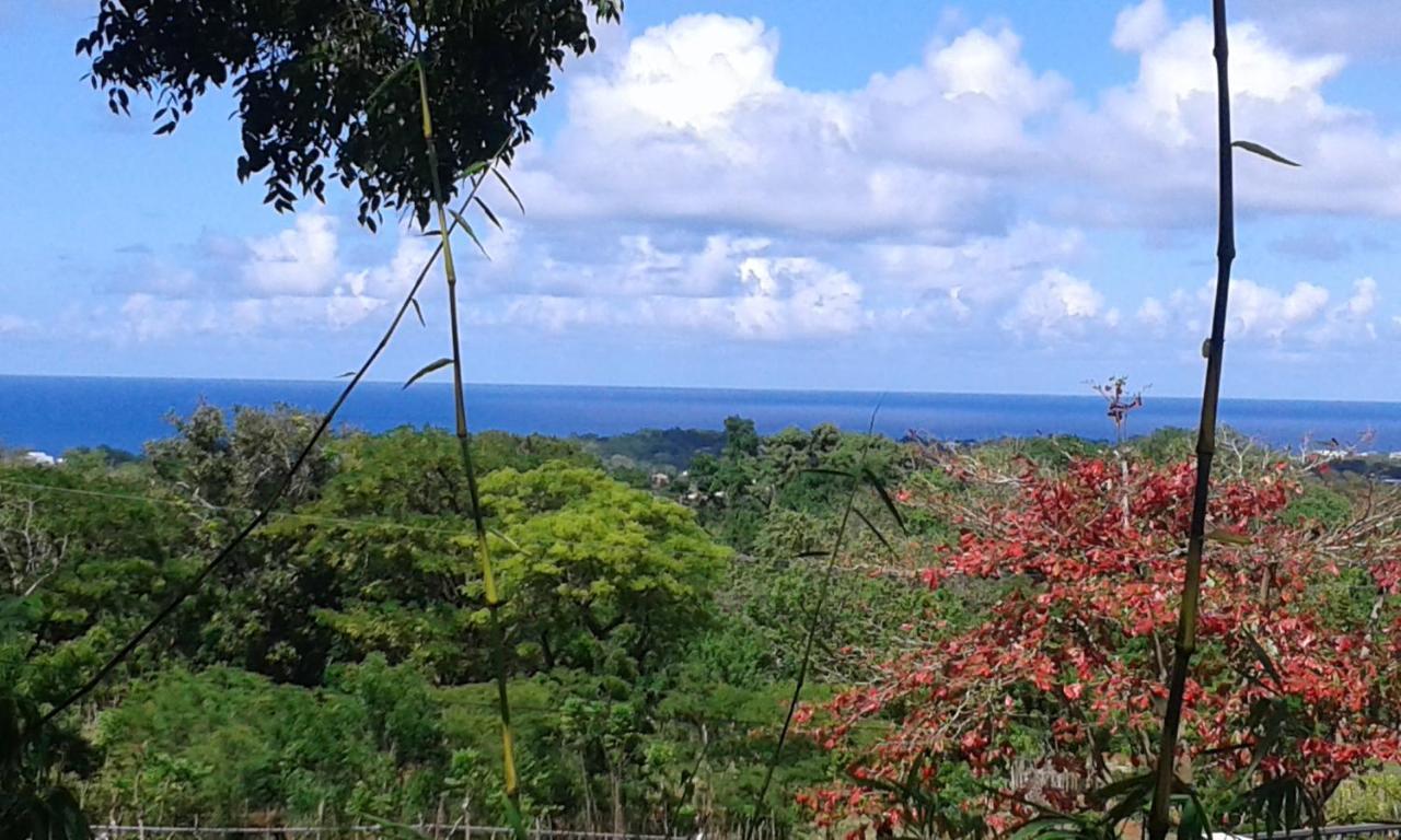 B&B El Mirador Al Mar Sosua Ngoại thất bức ảnh