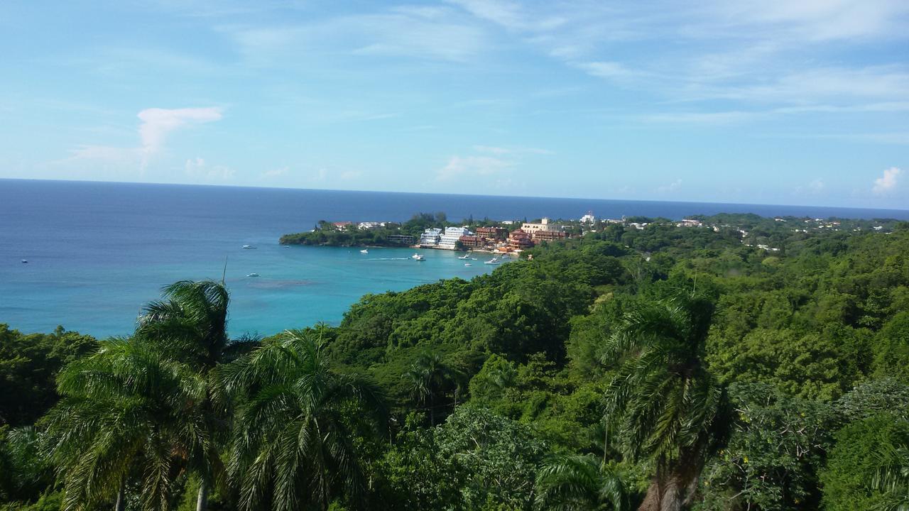 B&B El Mirador Al Mar Sosua Ngoại thất bức ảnh